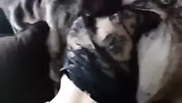 Gros plan sur Laura rencontree via : amitie-caline,com