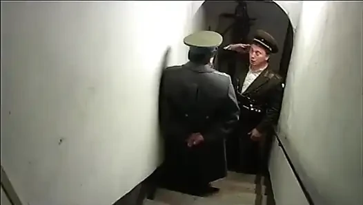 Şöhret - DVD