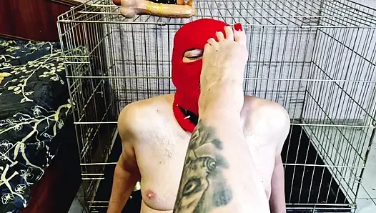 Dominatrix ona ayaklarını sikme fırsatı vererek köleyi azdırıyor, ancak kölenin boşalmasına izin vermiyor