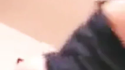 Şişman kedi nerede