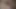Yıl sonu boşalma finali, süt çok fazlaydı. Videonun yarısı kesintisiz sağım zamanına dönüştü!
