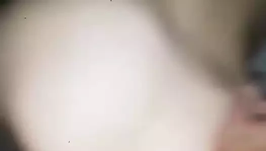 Chukam si palavata lisichka