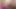 Dani Daniels ve Vanessa Veracruz sıradan lezbiyenler