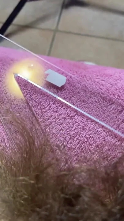 "Kıllı çalı ölçüm yakın çekim" den unutulmaz an