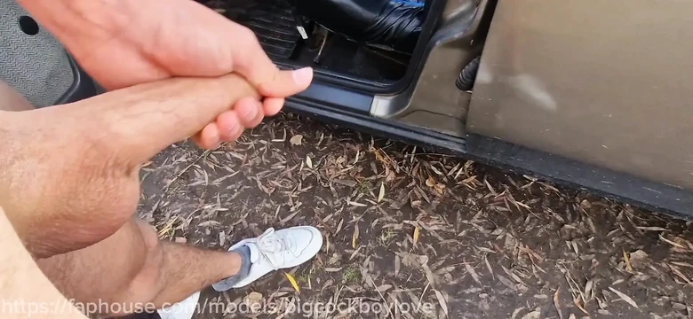 Круизная незнакомка-шлюшка борется с большим членом папочки на трассе