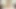 Yaramaz güzel lezbiyenler Dillion Harper ve Karlee Grey fit vücutlarını sergiliyor