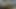 Sürtük beyaz yarağı götüne alıyor