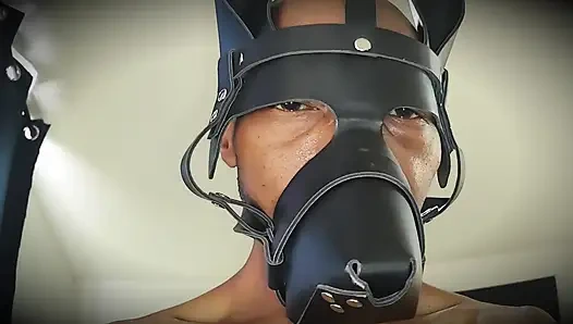 Sezon 4 - Bts 50 Ton Bebek Yağı Vol 32