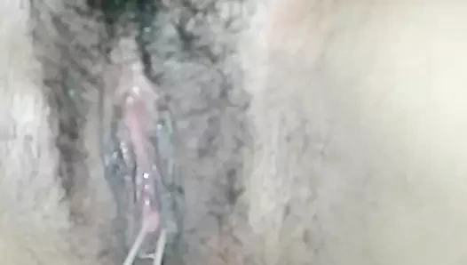 Çinli top içinde kıllı kedi