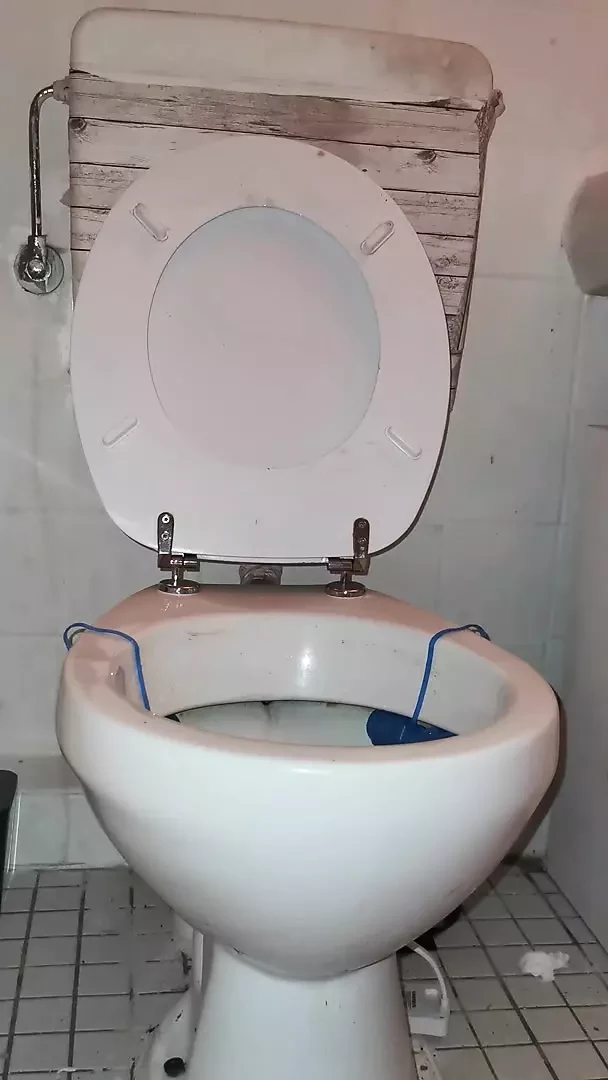 SissyFemboySlut