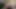 Trans kovboy kız delikli fahişenin kalbini dildo aşkınla doldurmak istiyor, bu beni çıldırtıyor, dildo oeoeo'ya bayılıyor
