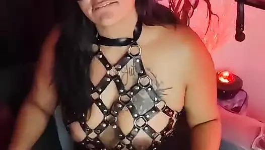 Sahibenizin eşlikinin tadını çıkarın