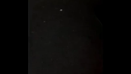 La mia tetta