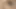 Innocent Beauty Receives First Raw Cum on Fertile Day in High Definition