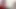 Hollandalı dörtlü seks - kıskanma: Ivey Passion ve Miss P (Hollanda) - sexybuurvrouw