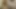 Redhead oral seks boşalmak içinde ağız oral Creampie yutmak cog