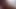 005.mp4