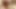 Olgun esmer orta yaşlı seksi kadın yarağı gırtlağına kadar alıyor ve dölleniyor
