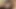 Tushy bu küçük erkek delisi seyahat ederken anal seks yapıyor