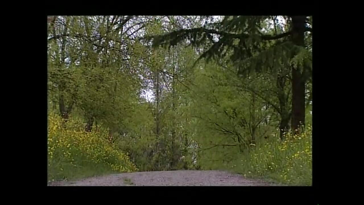 Misyoner xxx possibile - (full hd orijinal film versiyonu