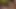 Twistys - azgın destiny cruz soyunuyor, açık havada banyo yapıyor ve kovboy kız şapkası ve yarağıyla kendini parmaklıyor