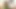 Indian Girl Trades Pussy for Family's Future and Gets Creamed  -AI Generated