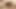 Azgın honoka orihara oral seks ile kışkırtıcı jav oral seks yapıyor - xxx!