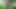 Yeni erkek arkadaşımla çalıların içinde en iyi sikişi yaptım