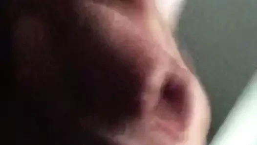 Sadece biraz eğlenceli zaman