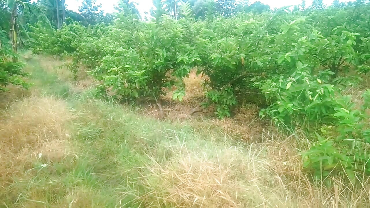 Oğlanla teyze