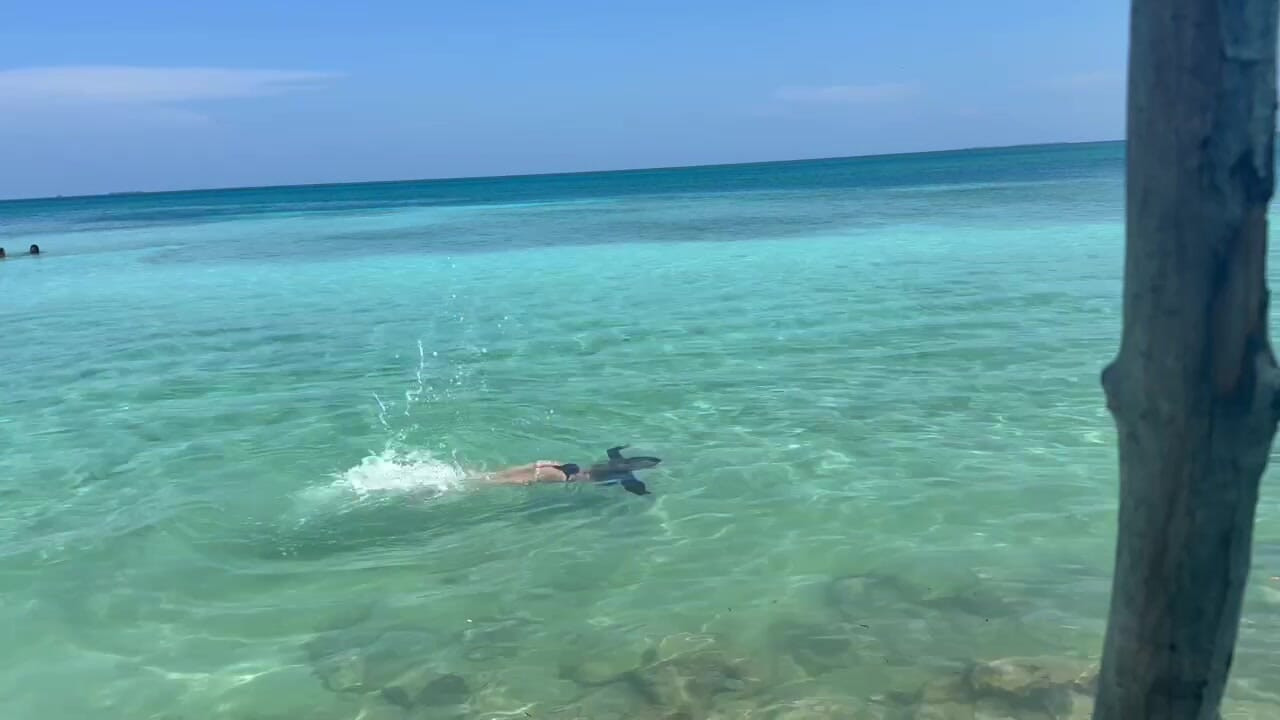 Güneşin ve denizin tadını çıkarmak için buradayım ama yalanmayacağım... Bana bakmadan duramıyorsun.
