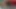 Endonezya üvey annenin amını yalıyor