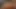 Apex legends - derin boğazlı lezbiyen üçlü loba wattson (sesli animasyon)