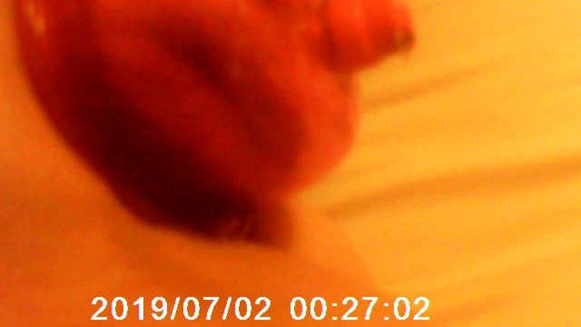 Flamingo titreşimli oyuncak ile kedi pompa oturumu #3