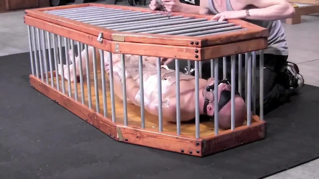 Pislikler - bölüm 3