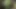 Fuck and Suck BIG Tits Stranger in Woods