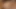 Raw anal seks oturum için bir çift arasında son derece dik twinks