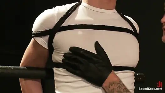 Christian Wilde ve yeni bir itaatkar