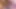 Kitten Pixie Floor Spark - dildo purr'a titreşimler