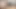 Intimate Blowjob Oral Pleasure Shared by a Loving Couple
