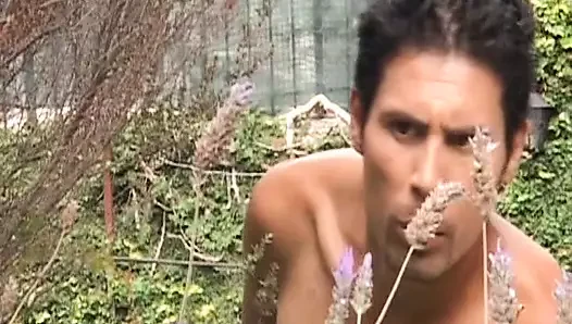 Çarpıcı bir transeksüel tarafından oral sekse hazır ol