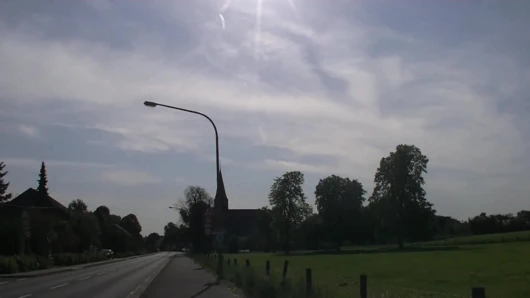 Yaşlı lanet domuzlar