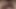 Fucked a teenager's stepsister while the parents are in the next room