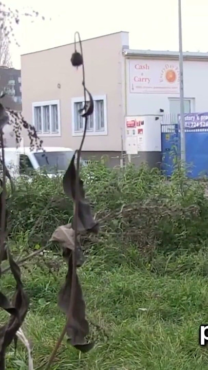 Yaramaz kızlar mesanelerini boşaltmak için çok çaresiz | Klip 1