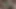 Bu Azgın Orta Yaşlı Seksi Kadın Oyuncu Seçmelerinde Genç Bir Yarağı Alıyor.