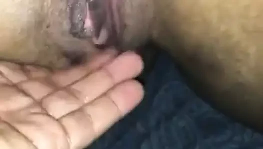 Şeftali yalpalayıcı ptvi