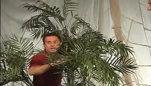 Uyum gül kink oynamayı sever, çalıştığı adamları normalden daha fazla cum yapar