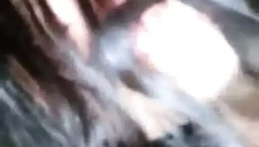 köpek stili Xiomara