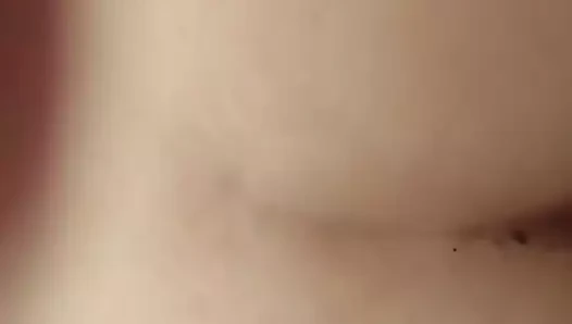 daha fazla köpek