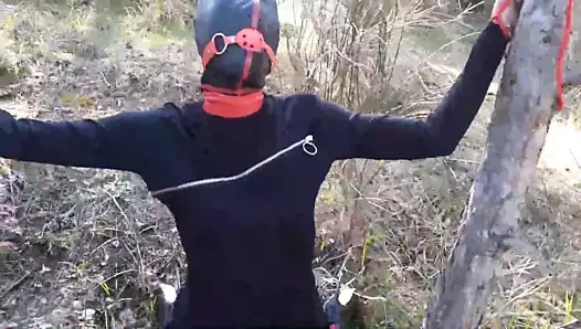 Bir ağaca bağlı, açık havada seksi giysiler içinde, top ağzı tıkalı